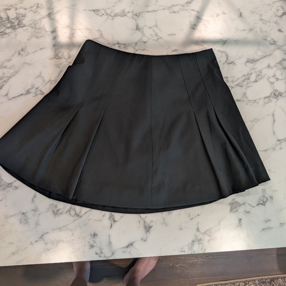 Zara Pleated Skirt